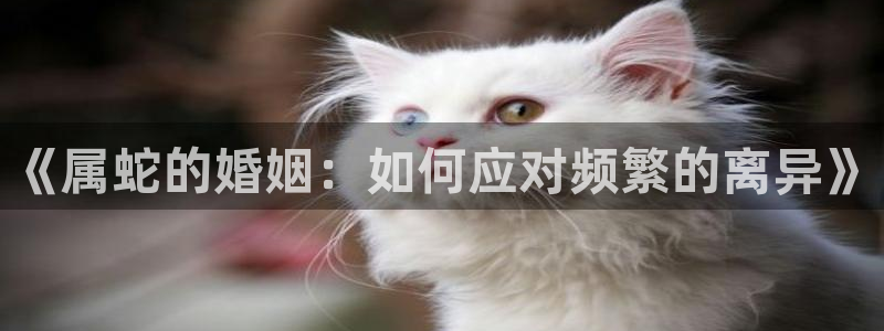 南宫美狮贵宾会官网版