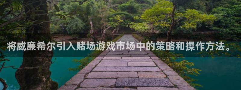 美狮贵宾会下载链接
