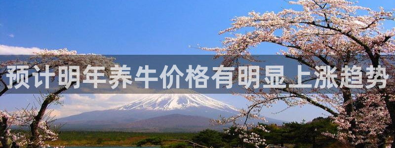 壹号app下载