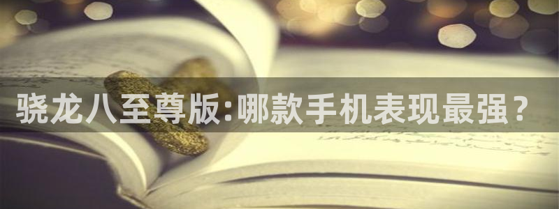 美狮贵宾会,com