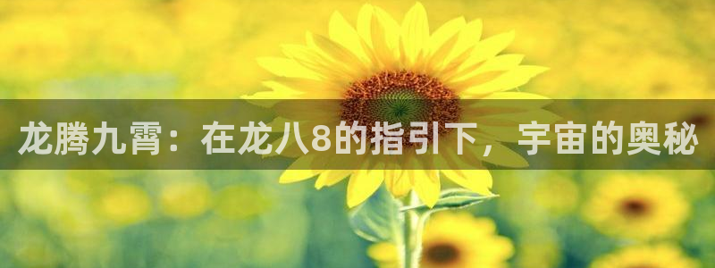 美狮贵宾会强制退款流程详解：龙腾九霄：在龙八8的指引下，宇宙的奥秘