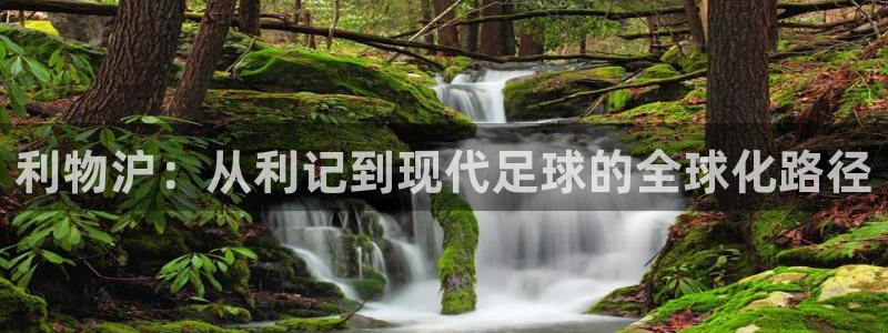 美狮贵宾会网站登录流程：利物沪：从利记到现代足球的全球化路径