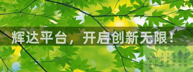 美狮贵宾会.ccm官网版：辉达平台，开启创新无限！