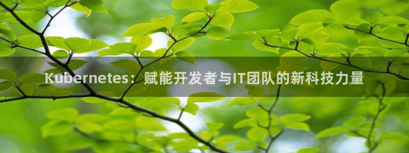 美狮贵宾会网址：Kubernetes：赋能开发者与IT团队的新科技力量