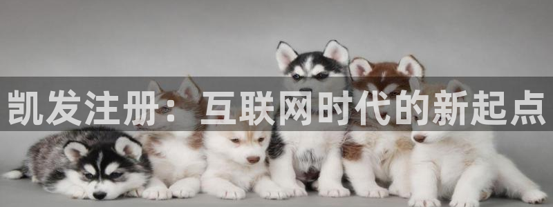 美狮贵宾会app网页入口：凯发注册：互联网时代的新起点