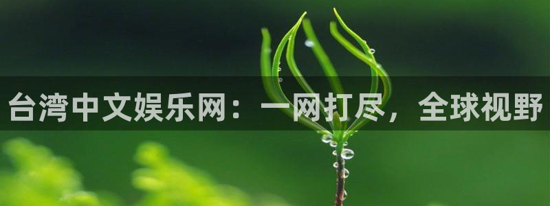美狮贵宾会软件：台湾中文娱乐网：一网打尽，全球视野