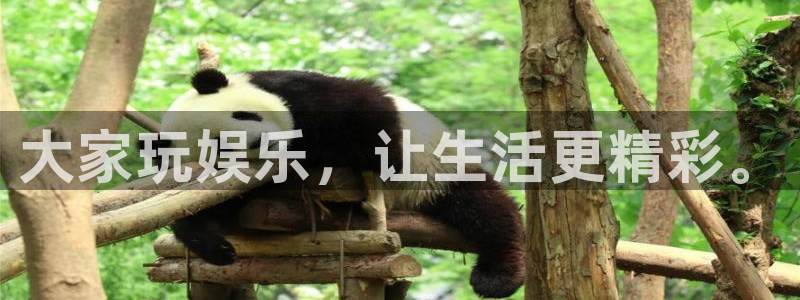 壹号电子娱乐app下载最新版：大家玩娱乐，让生活更精彩。