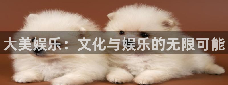 美狮贵宾会官方网站：大美娱乐：文化与娱乐的无限可能