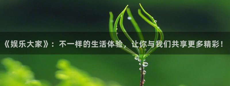 美狮贵宾会平台app下载：《娱乐大家》：不一样的生活体验，让你与我们共享更多精彩！