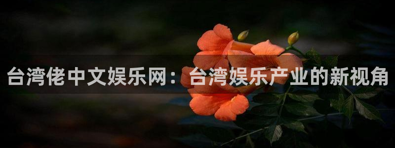 美狮贵宾会平台官网入口：台湾佬中文娱乐网：台湾娱乐产业的新视角