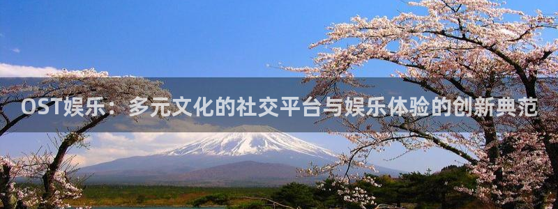 壹号top娱乐：OST娱乐：多元文化的社交平台与娱乐体验的创新典范