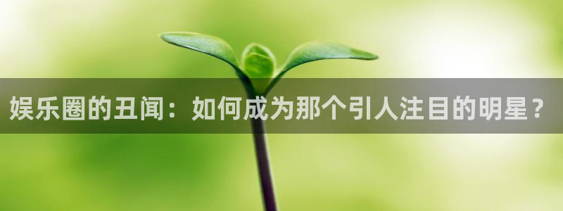 壹号大舞台官网：娱乐圈的丑闻：如何成为那个引人注目的明星？