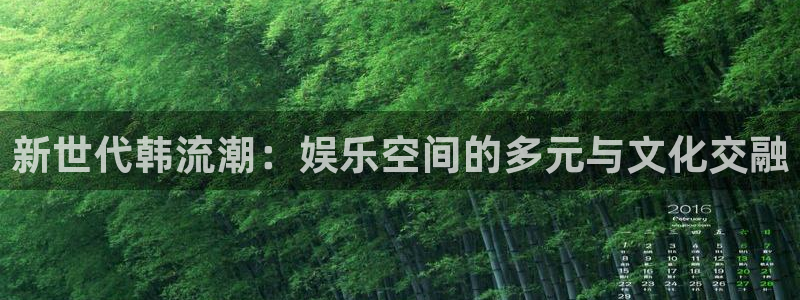 美狮贵宾会官网：新世代韩流潮：娱乐空间的多元与文化交融