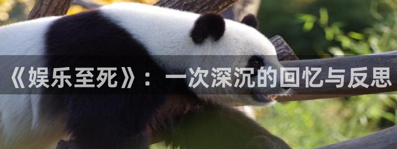 壹号大舞台28国际大舞台：《娱乐至死》：一次深沉的回忆与反思