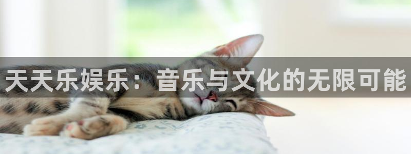 美狮贵宾会链接：天天乐娱乐：音乐与文化的无限可能