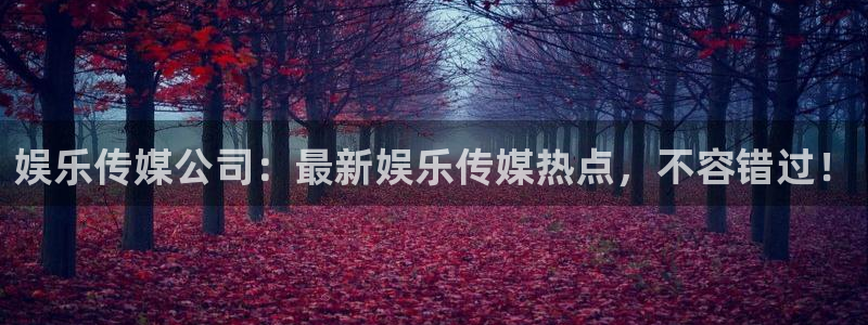美狮贵宾会官网：娱乐传媒公司：最新娱乐传媒热点，不容错过！