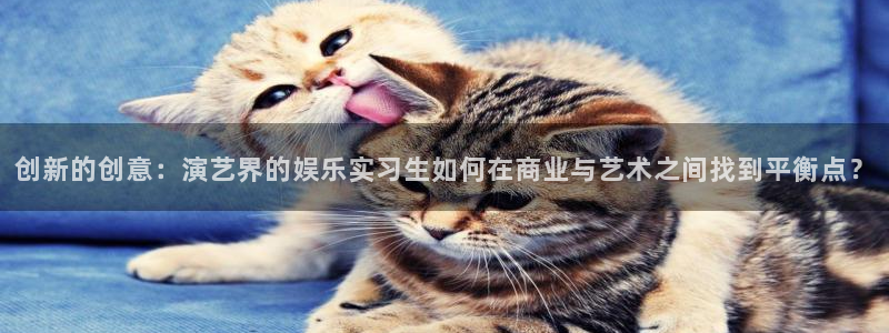 美狮贵宾会官网下载：创新的创意：演艺界的娱乐实习生如何在商业与艺术之间找到平衡点？