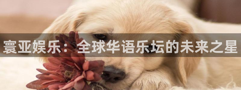 壹号国际app免费下载安装：寰亚娱乐：全球华语乐坛的未来之星