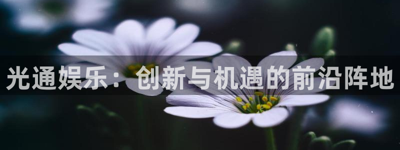 美狮贵宾会注册入口与教程：光通娱乐：创新与机遇的前沿阵地