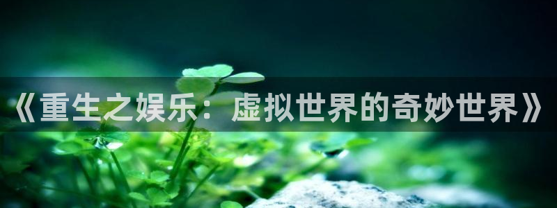 壹号大舞台,有梦你就来：《重生之娱乐：虚拟世界的奇妙世界》