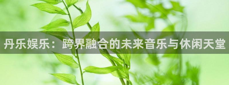 美狮贵宾会.com：丹乐娱乐：跨界融合的未来音乐与休闲天堂
