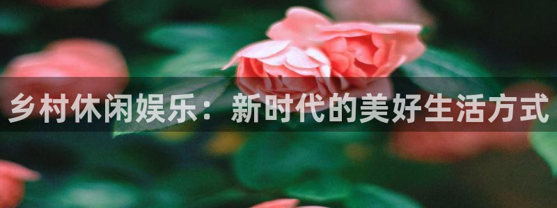 美狮贵宾会是什么平台：乡村休闲娱乐：新时代的美好生活方式