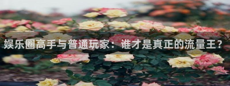 美狮贵宾会游戏官网平台入口：娱乐圈高手与普通玩家：谁才是真正的流量王？