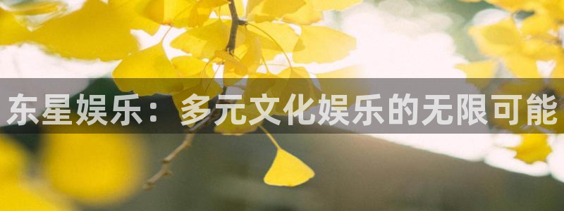 美狮贵宾会网页版登：东星娱乐：多元文化娱乐的无限可能