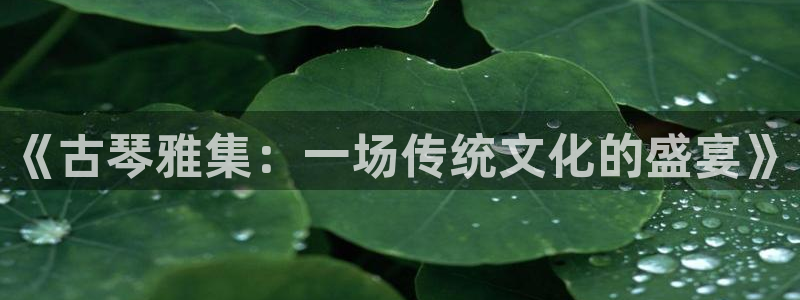 美狮贵宾会ccmpc麻将胡了：《古琴雅集：一场传统文化的盛宴》