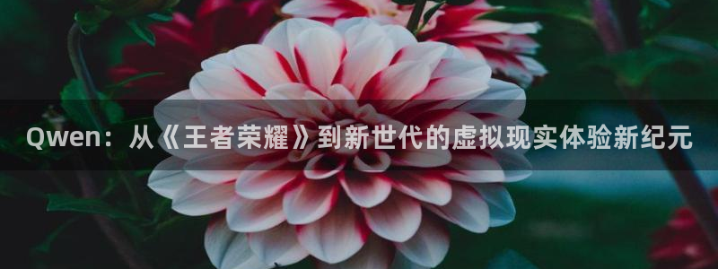 美狮贵宾会游戏试玩：Qwen：从《王者荣耀》到新世代的虚拟现实体验新纪元