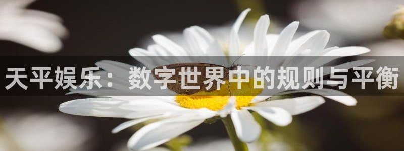 美狮贵宾会官网：天平娱乐：数字世界中的规则与平衡