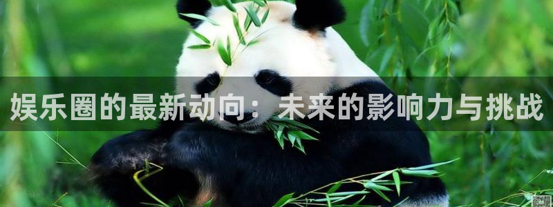 壹号大舞台怎么注册：娱乐圈的最新动向：未来的影响力与挑战
