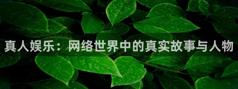 美狮贵宾会网站：真人娱乐：网络世界中的真实故事与人物
