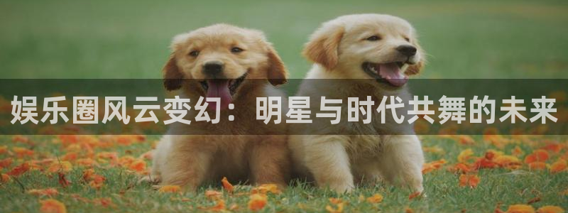 美狮贵宾会链接：娱乐圈风云变幻：明星与时代共舞的未来