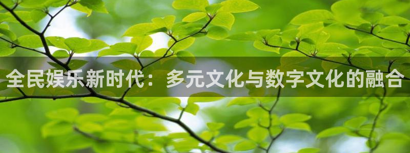 壹号下载官网入口：全民娱乐新时代：多元文化与数字文化的融合