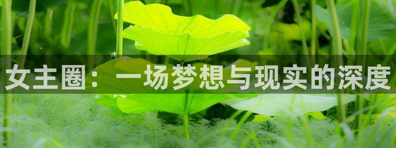 美狮贵宾会注册入口与教程：女主圈：一场梦想与现实的深度